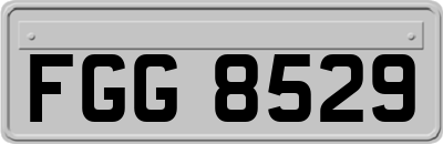 FGG8529