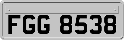 FGG8538