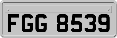 FGG8539