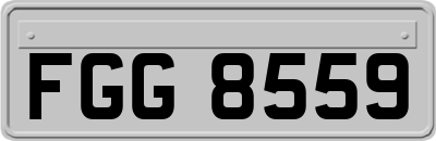 FGG8559