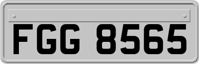 FGG8565