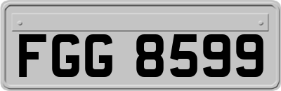 FGG8599
