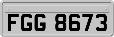 FGG8673