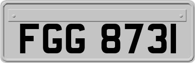FGG8731