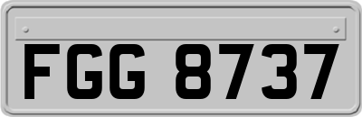 FGG8737