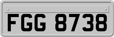 FGG8738