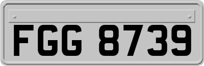 FGG8739