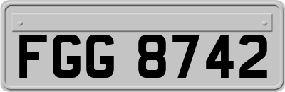 FGG8742