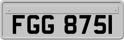 FGG8751