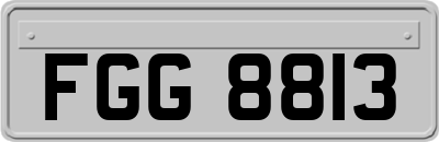 FGG8813