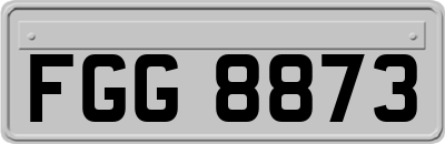 FGG8873