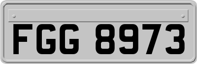 FGG8973