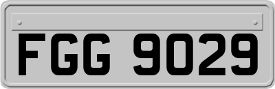 FGG9029