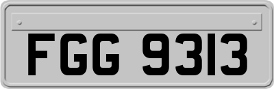 FGG9313