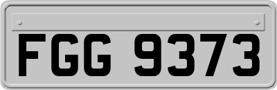FGG9373