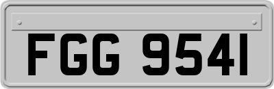 FGG9541