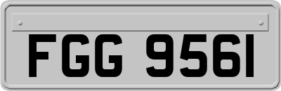 FGG9561