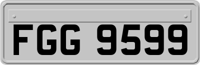 FGG9599