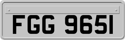 FGG9651