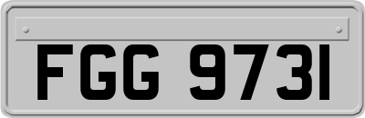 FGG9731