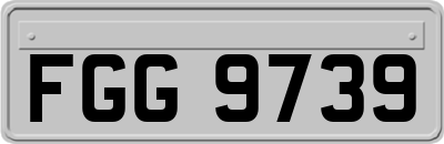 FGG9739