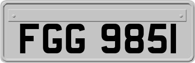 FGG9851