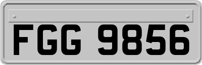 FGG9856