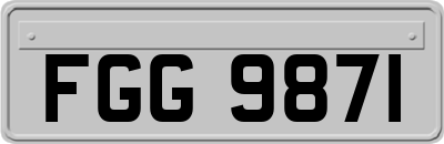 FGG9871