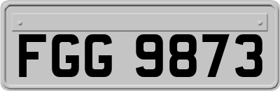 FGG9873
