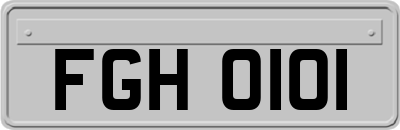 FGH0101