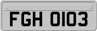 FGH0103
