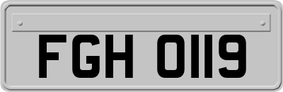 FGH0119
