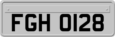 FGH0128
