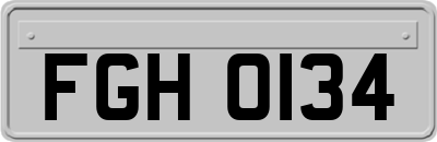 FGH0134