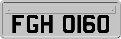 FGH0160