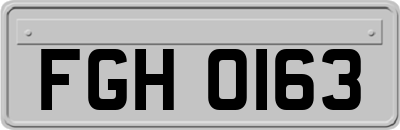 FGH0163