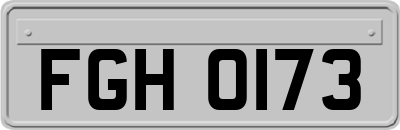 FGH0173