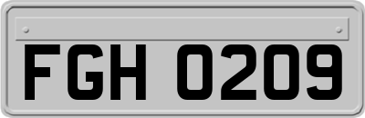FGH0209
