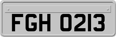 FGH0213