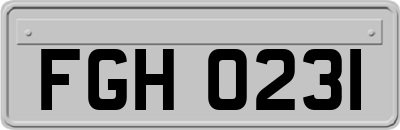 FGH0231
