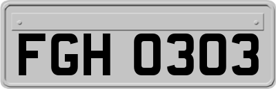 FGH0303