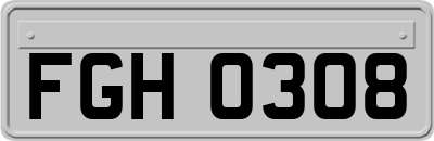 FGH0308
