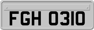 FGH0310