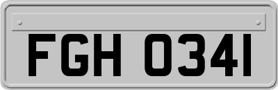 FGH0341