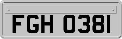 FGH0381