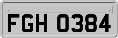FGH0384