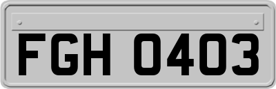 FGH0403