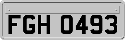 FGH0493