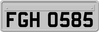 FGH0585