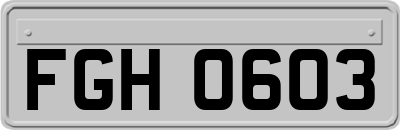 FGH0603